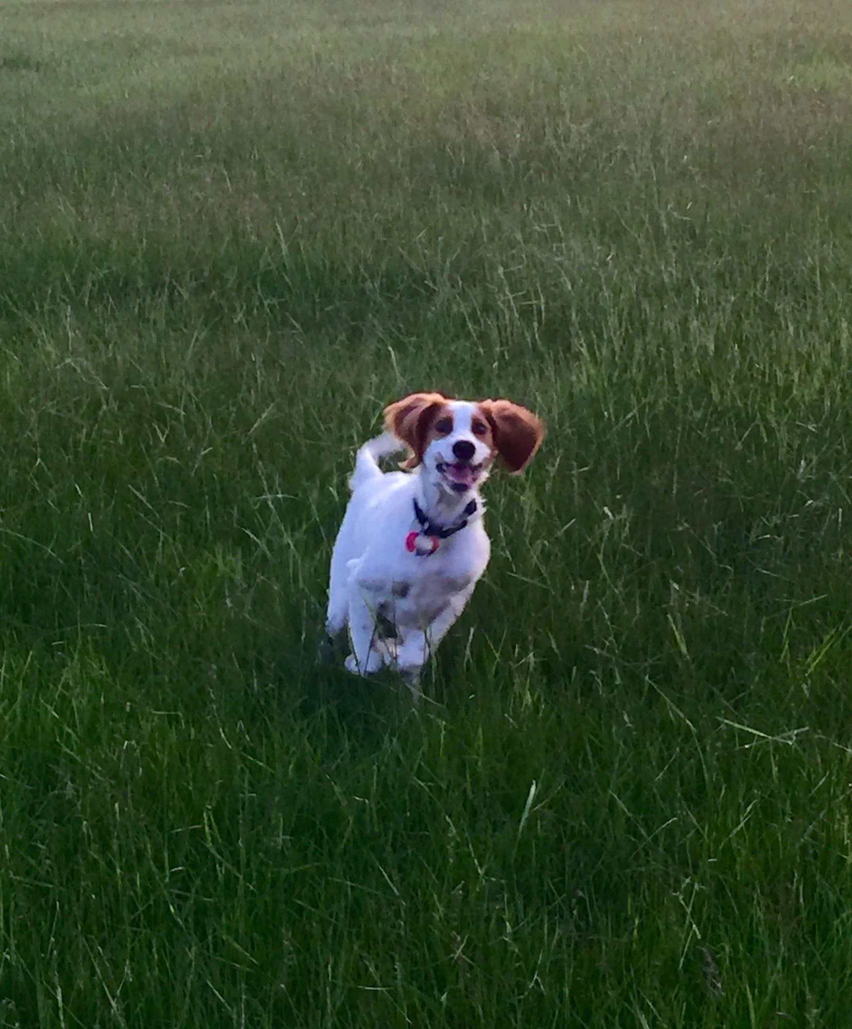 I wouldn&rsquo;t bet against Tucker in a one-on-one competition, though.