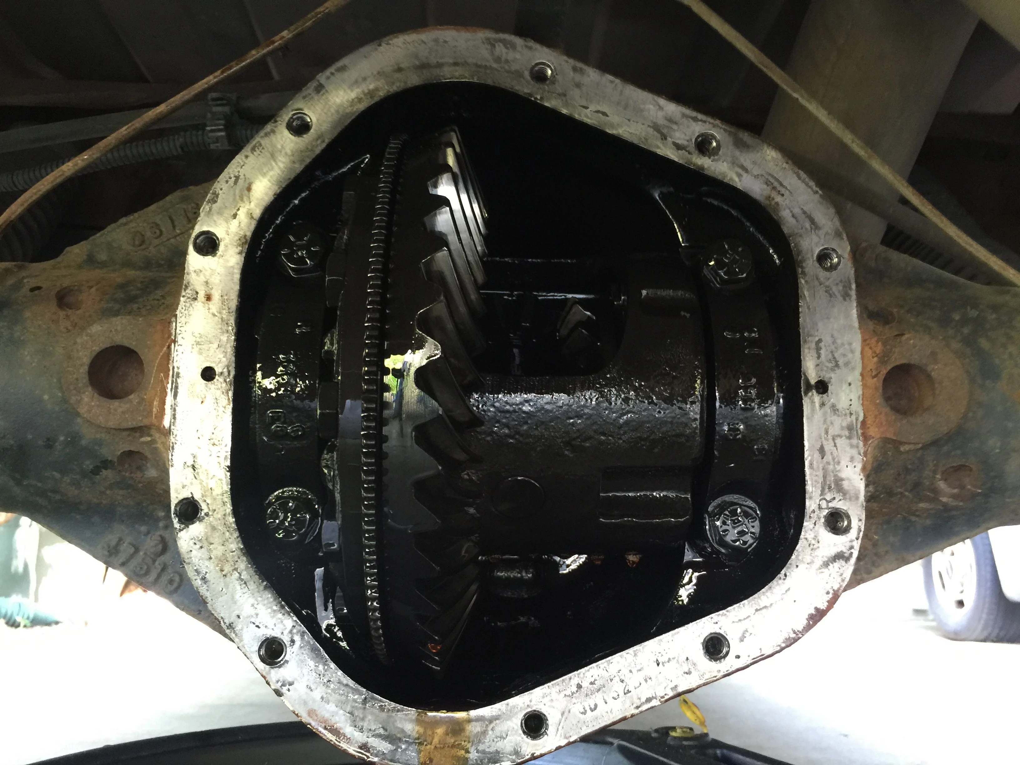 The gears in the differential were pretty black, but the gear oil was super clear. I&rsquo;m not why that was.