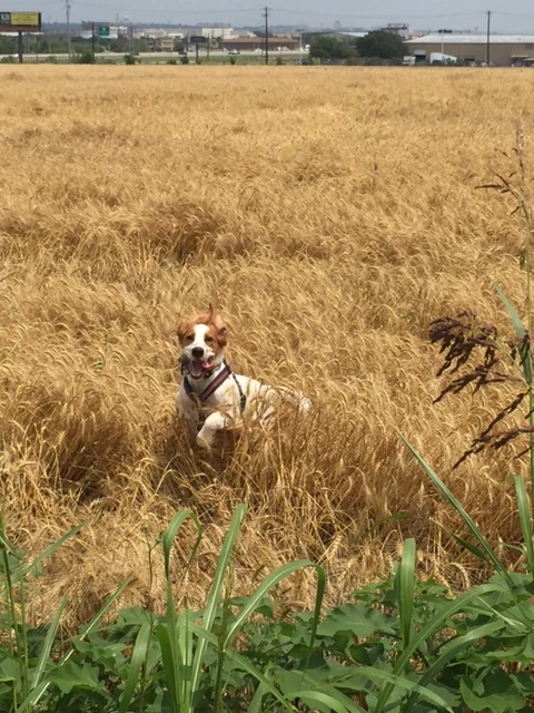 He is a happy boy most of the time.