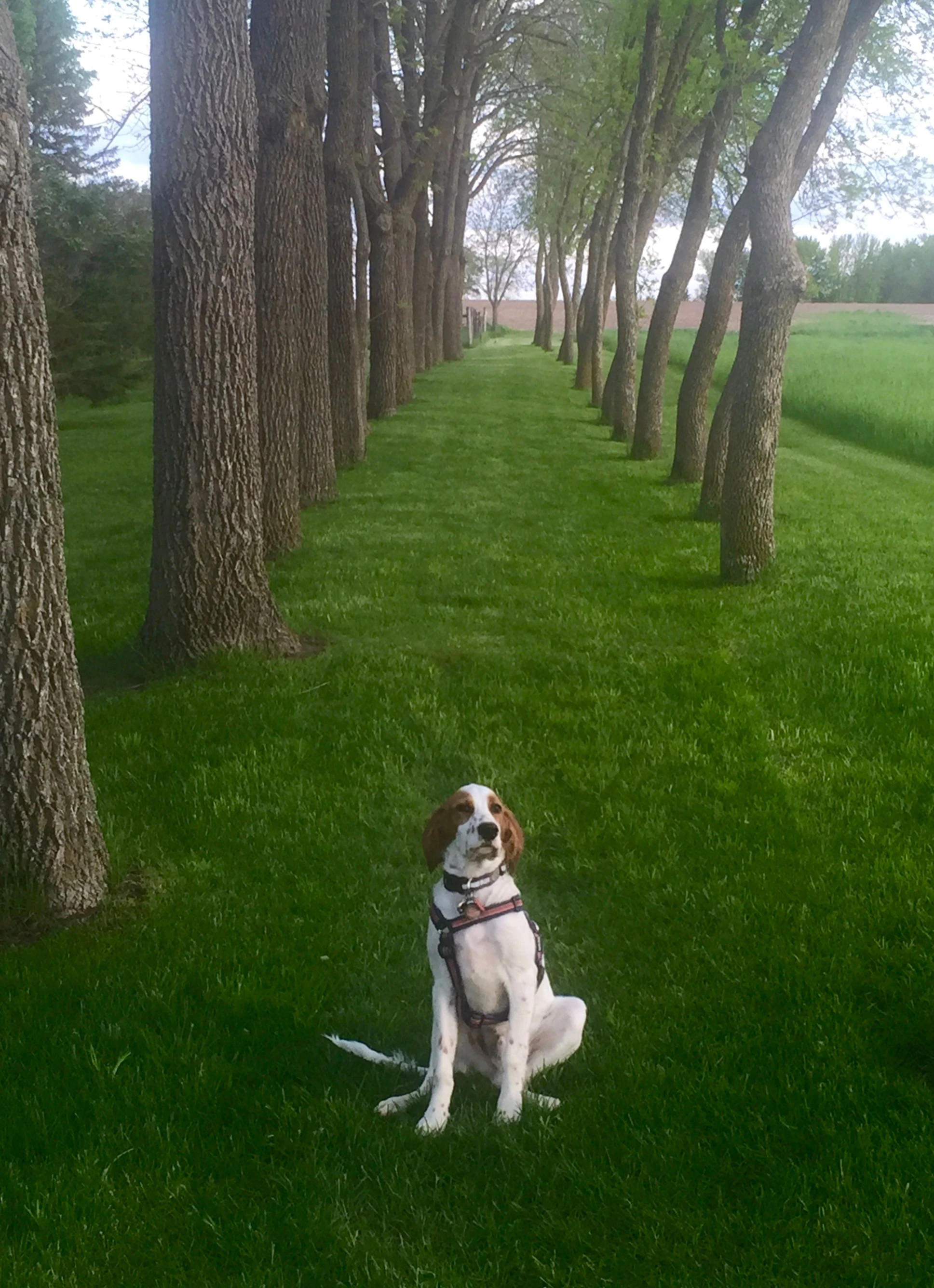 Looks like Tucker staged this photo in Iowa.