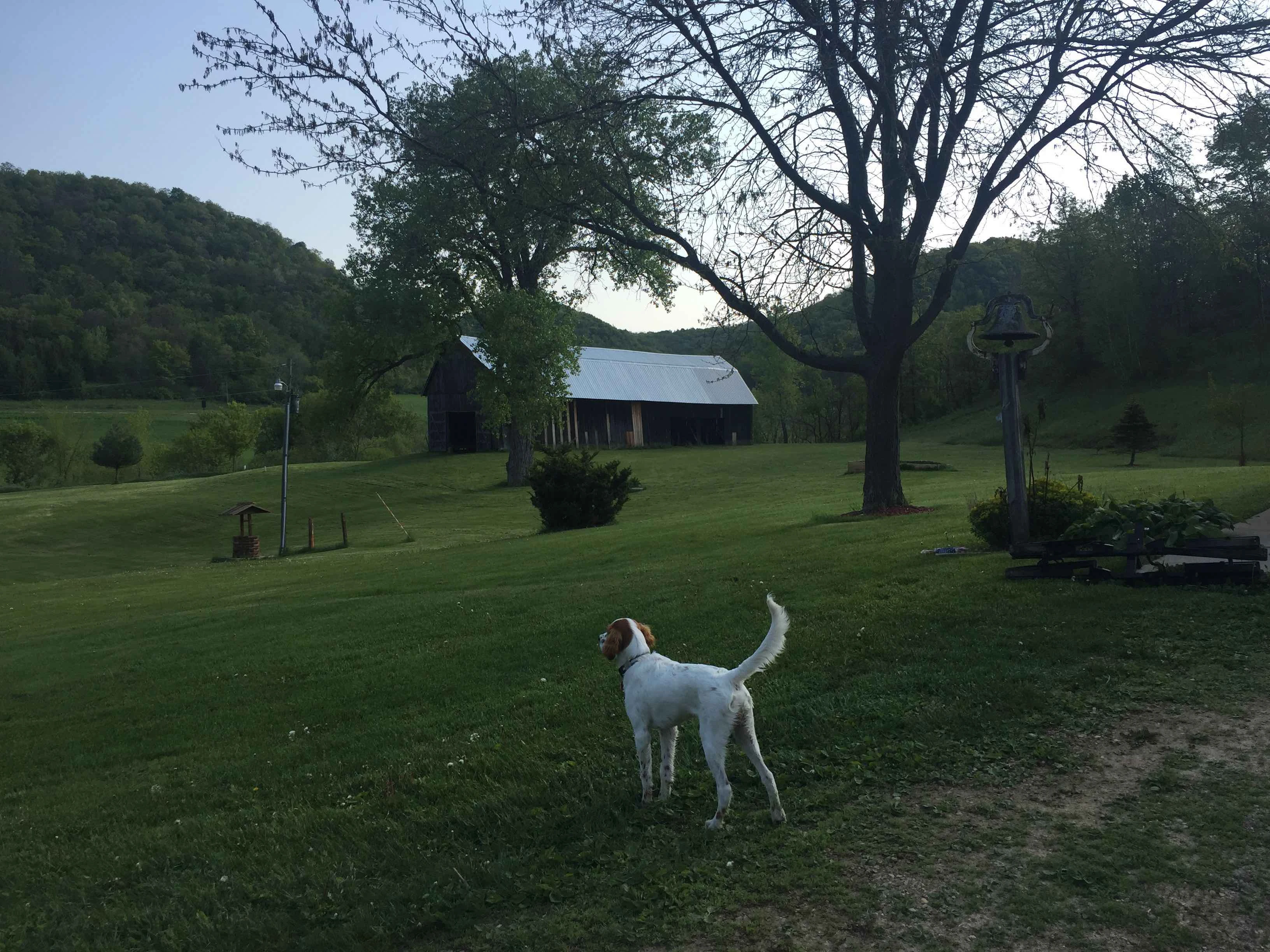 View this morning. Tucker loves it.