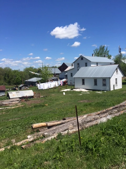 An Amish farm. Lots of dying sheets.