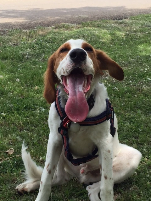 Tucker was hot too. He slept like a rock on the drive home.