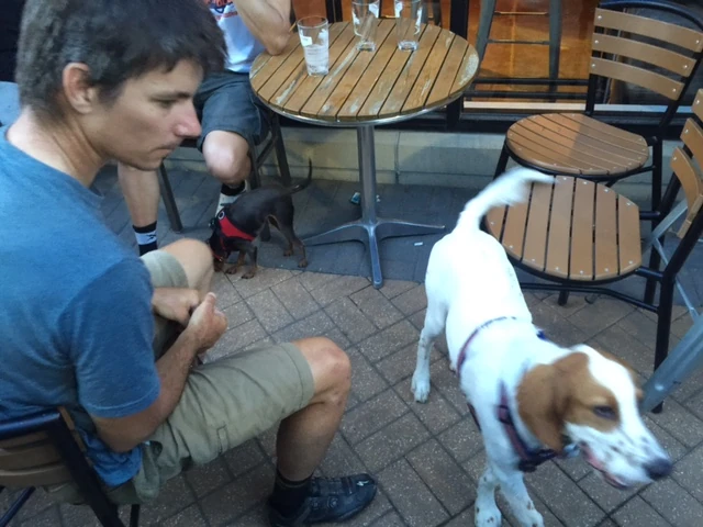 Tucker ran over to Tuesday Night beer night at PT&rsquo;s. It was long for him. He eventually ditched to cycling crowd to go hang out at the other end of the patio with a group that had a Chihuaha.