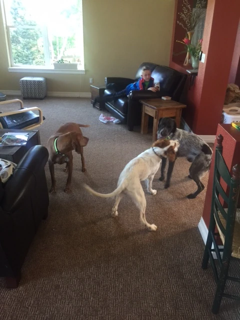 Tucker has been playing with Nick for over 12 hours now.