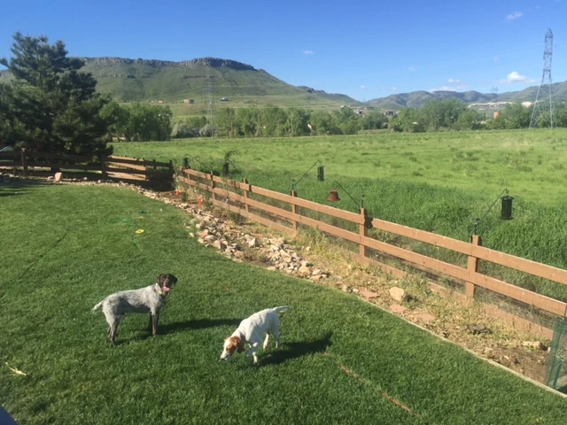 Not bad view to wake up too.