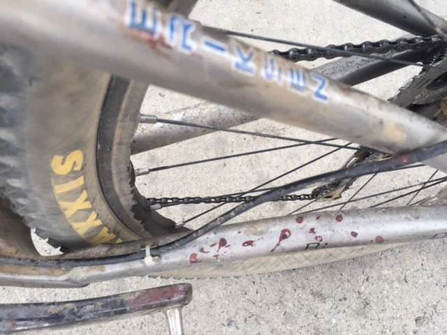 My chainstay at the finish.