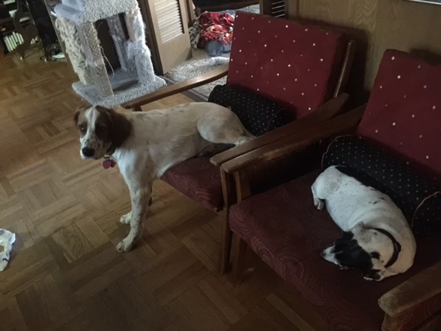 Tucker isn’t sure whether he gets to go this morning.