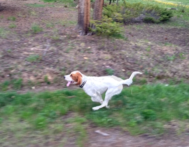 Tucker looks like he was running fast, but he was in slow motion. No air I&rsquo;m guessing.