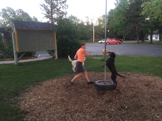 Tessie playing tetherball with Beth. Tucker didn&rsquo;t know what to make of it.
