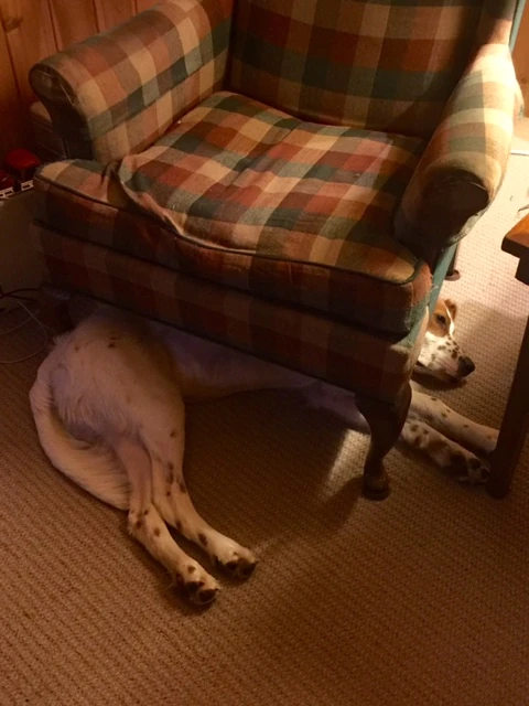 Tucker is either on or off up here. 