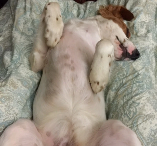 Tucker has a ton of positions of his own.