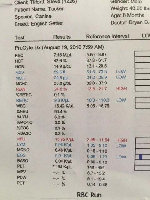 Tucker’s blood work.