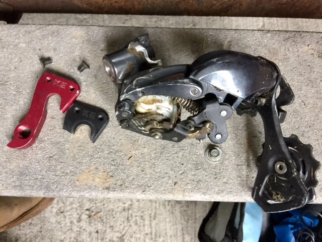 Busted rear derailleur and extra dropout.