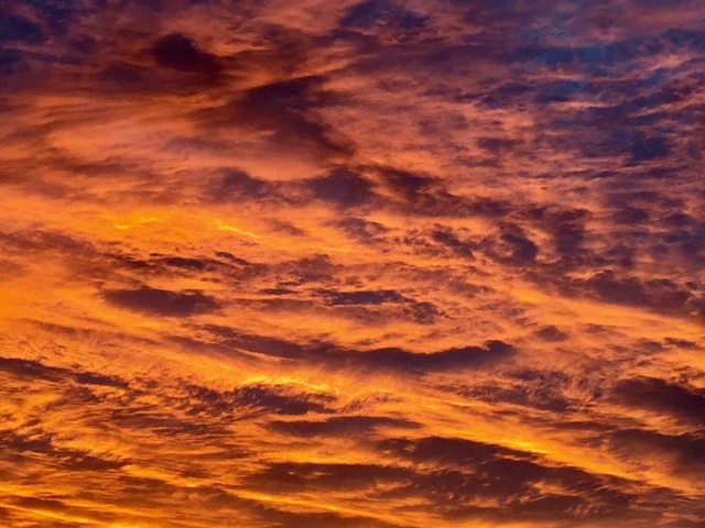 This is the sunset when I was riding back from the venue last night. Pretty great.