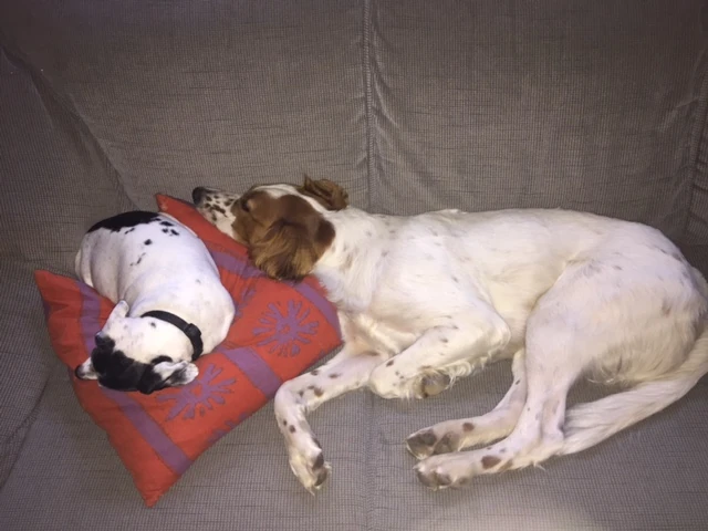 He was as done as me last night.