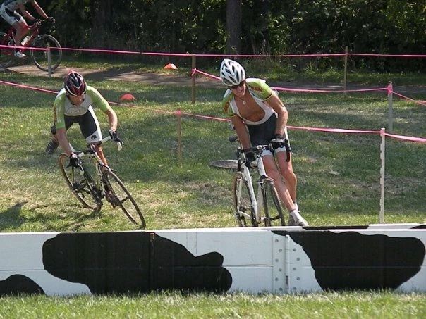 How about the cow barriers.