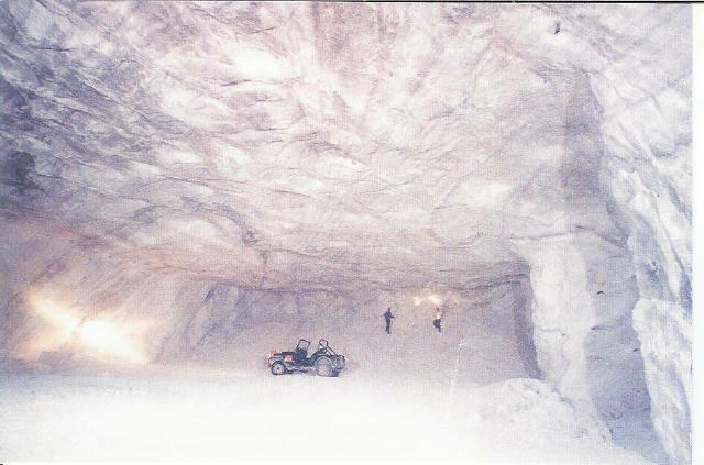 SaltMine