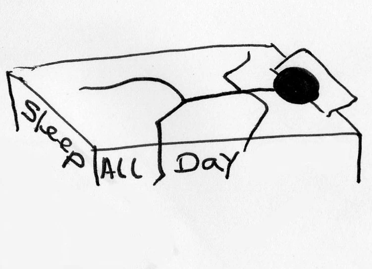 phlogcastImage5295_36790_30-Aug-10-01-08-24