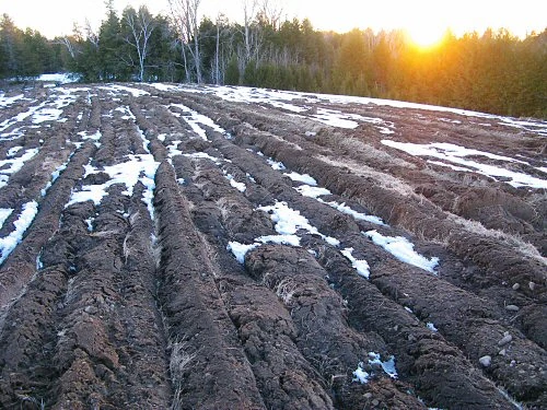 freshlyplowedwinterfield