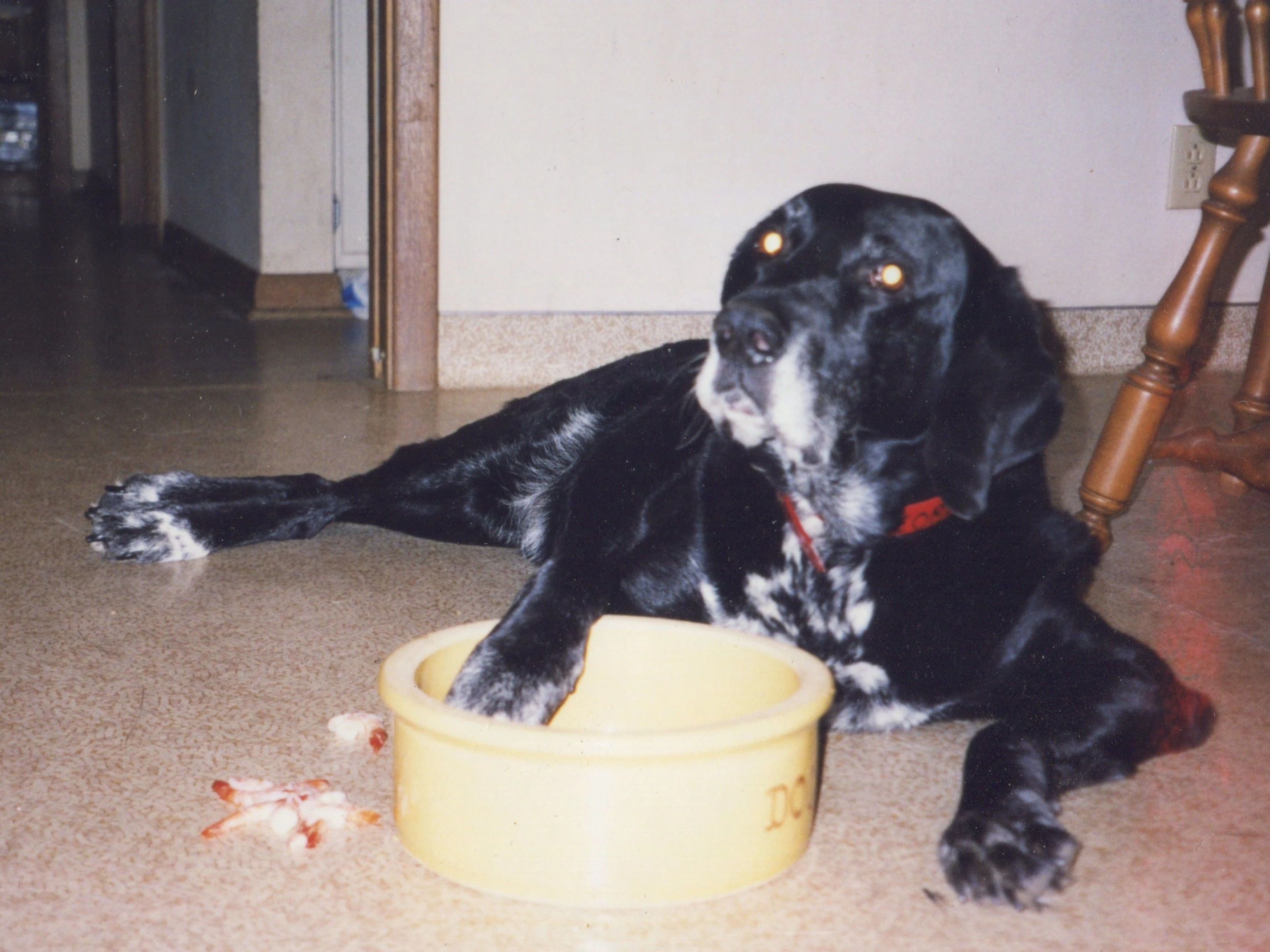 He wasn&rsquo;t much into shrimp.