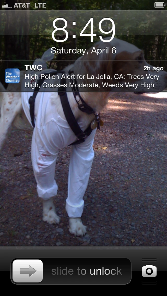 This was on my phone when I got here. Great, trading smoke for bad pollen.