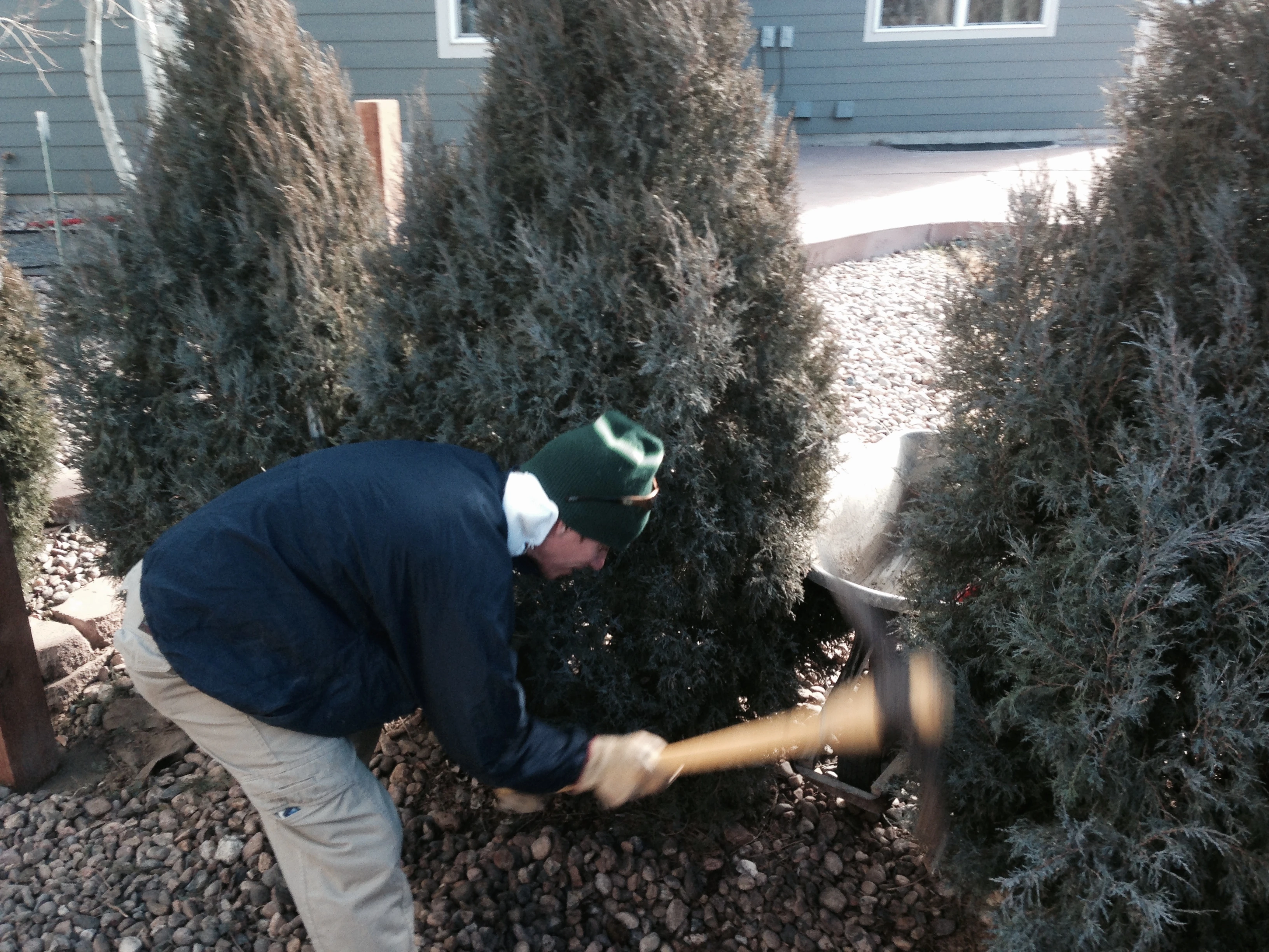 Bill resorting to a pick ax.