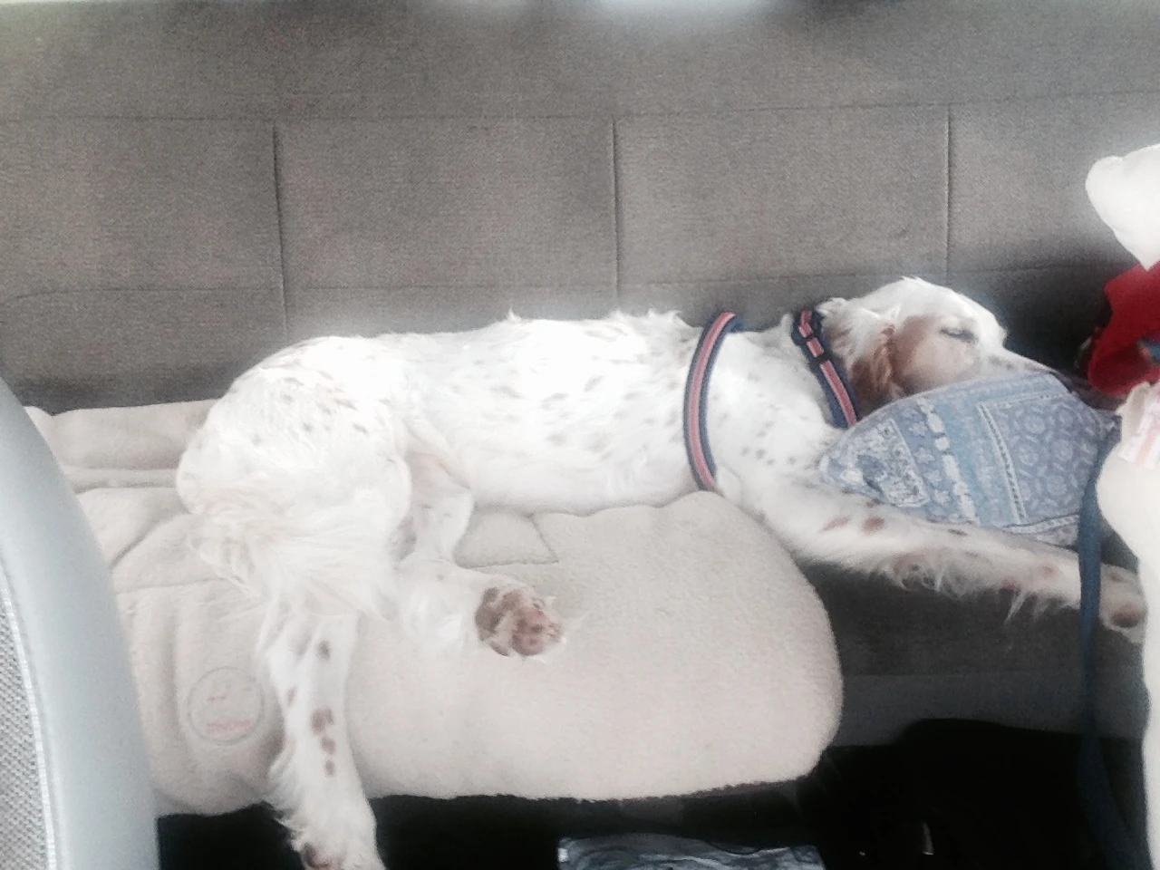 Bromont was very unconcerned during all of this.