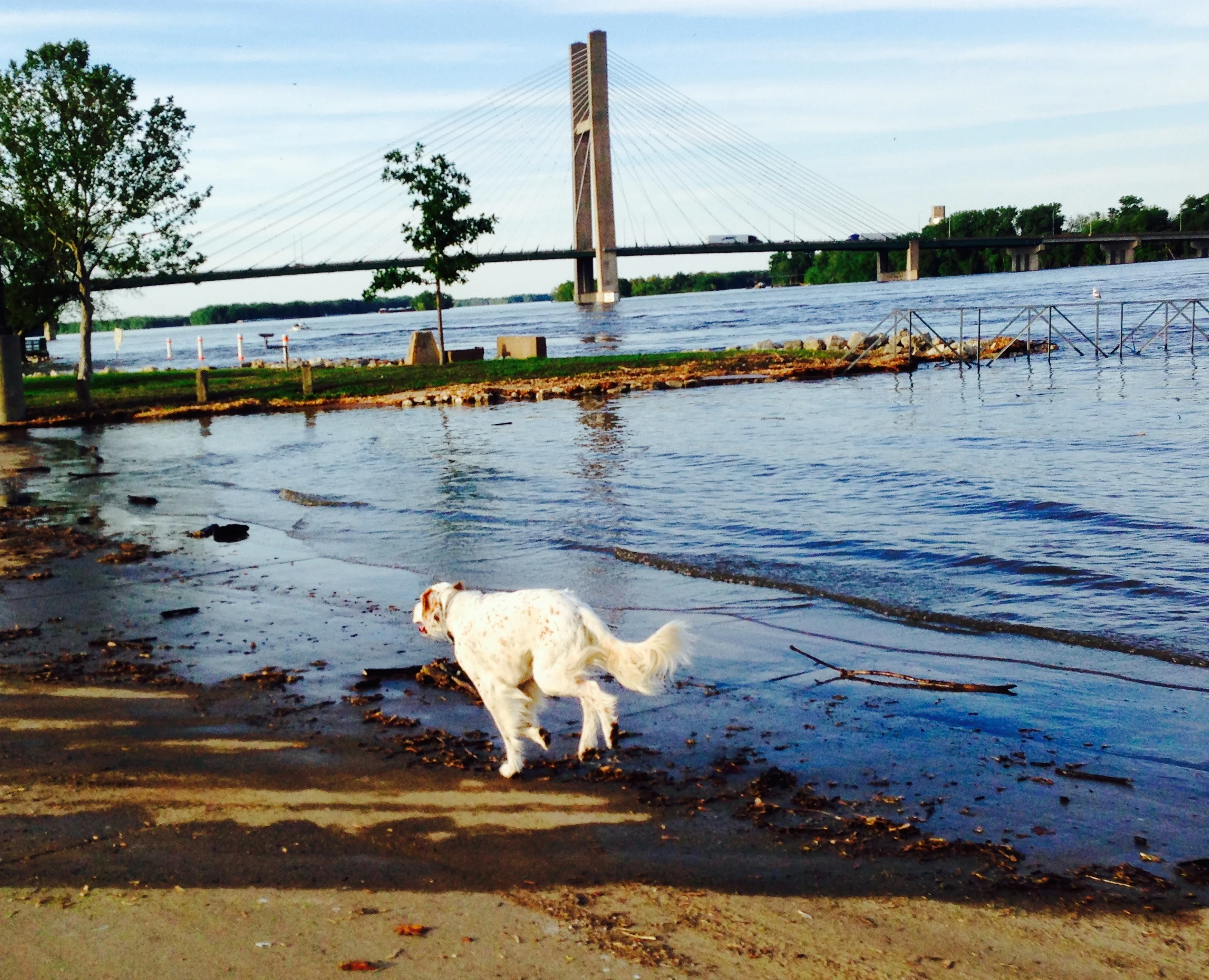 The Mississippi is just about ready to flood Burlington. It is super high.