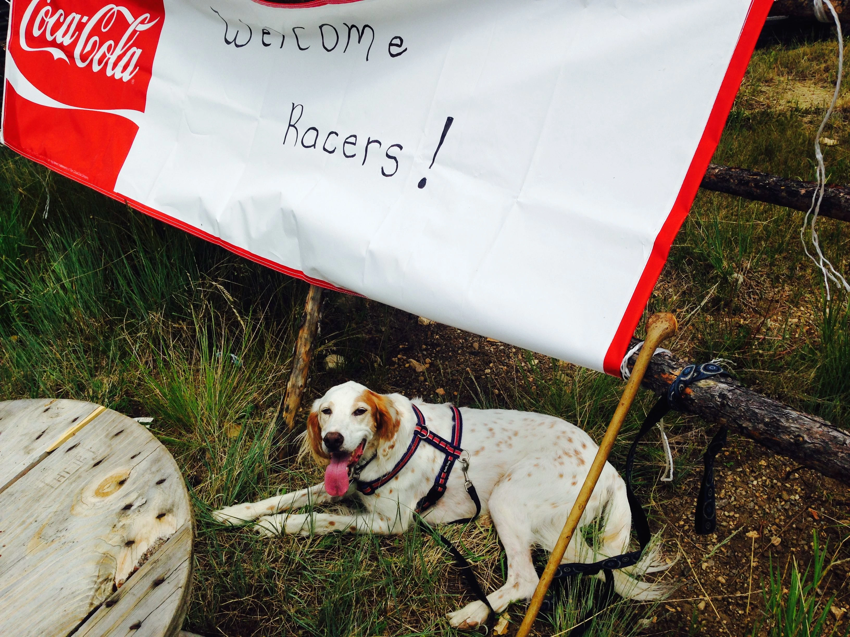 Bromont was just romping around the mountains, then looking for shade after.