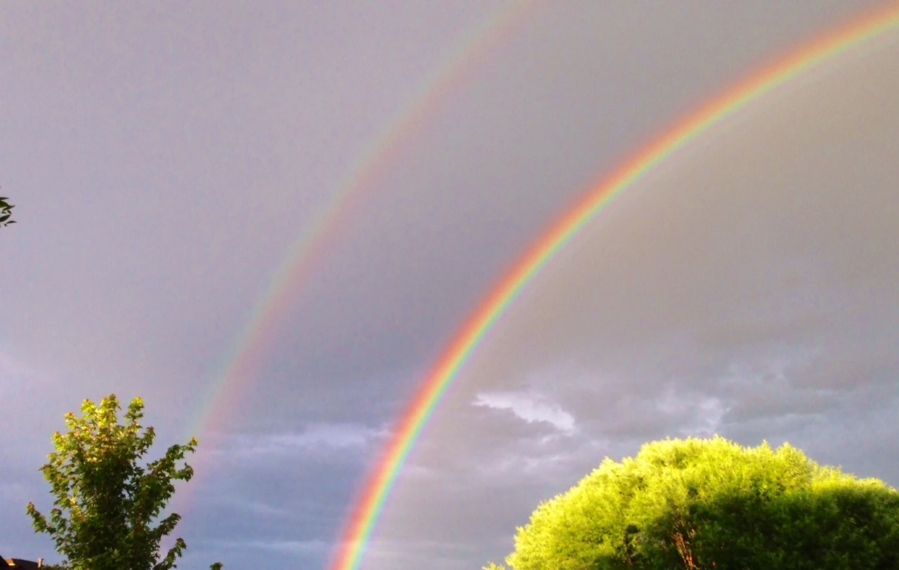 It&rsquo;s been raining for an hour or so every night here in Arvada. Yesterday, this was the result. Super beautiful.