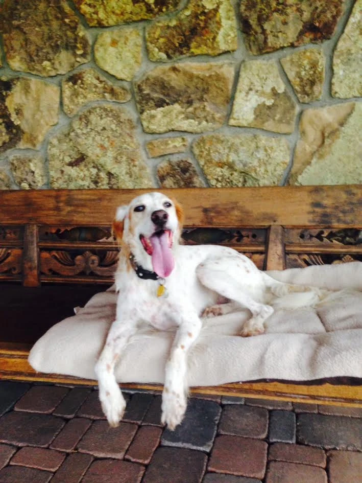 And, Bromont looking all happy.