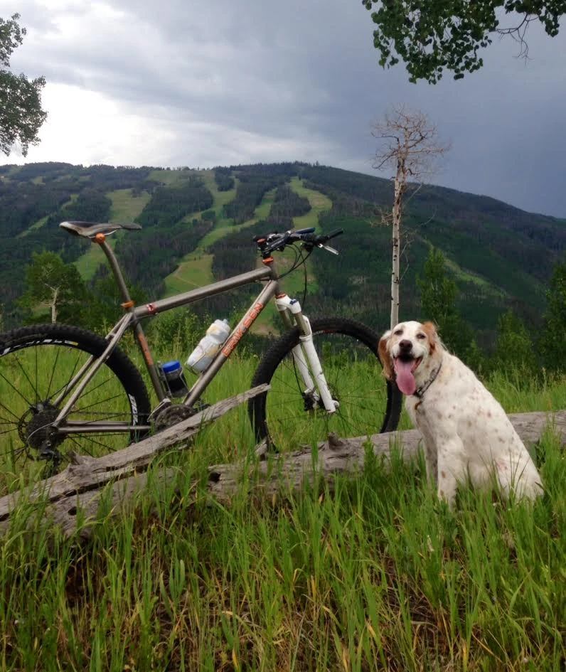 It almost looks like a staged picture. Bromont after running up the mountain a little. 