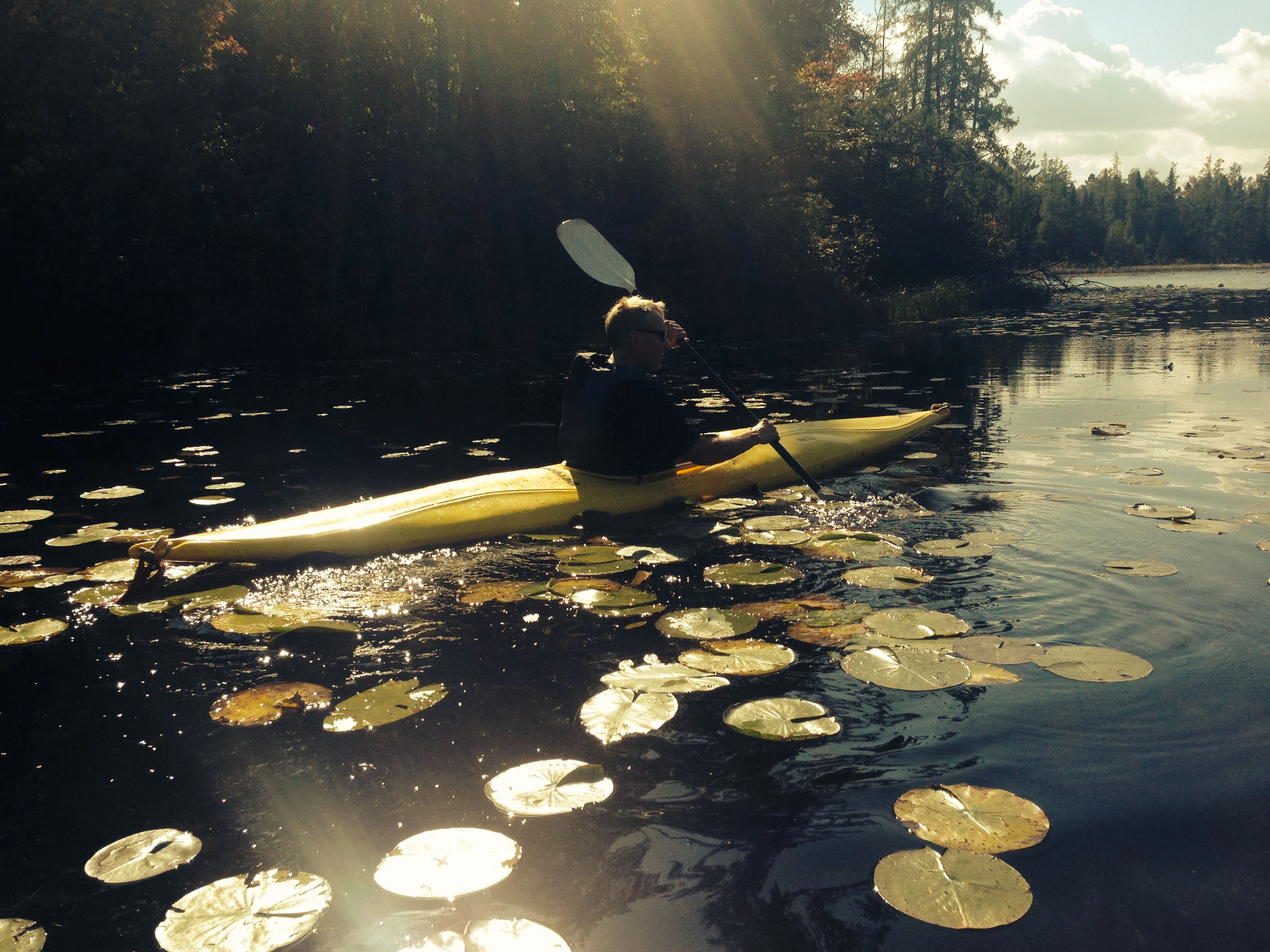 Dennis skims through the lily pads.