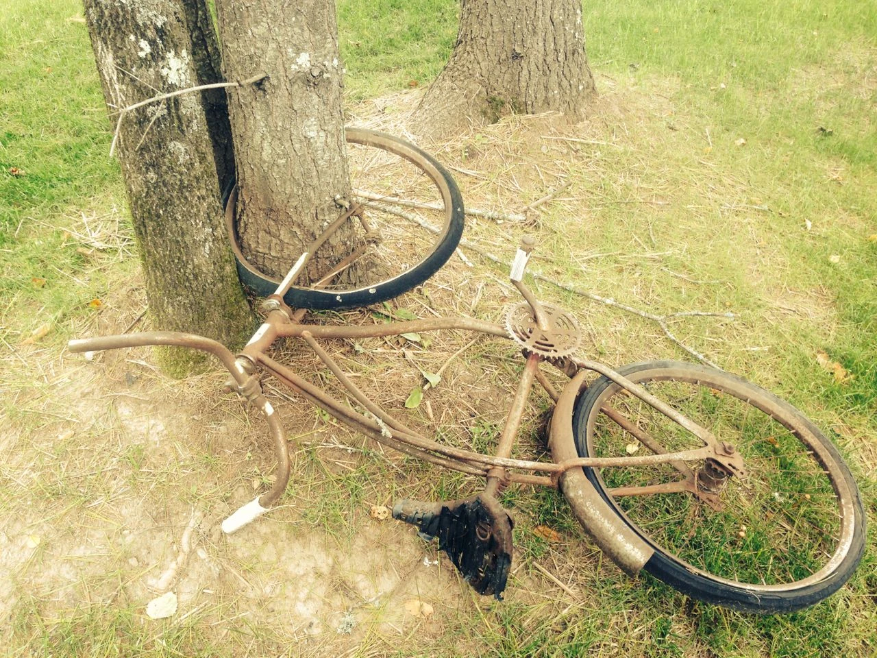 Guess this bike has been laying around here for awhile.