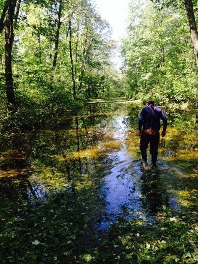 This is a photo from the Chequamegon course yesterday. This is just where it is flat. Wow.