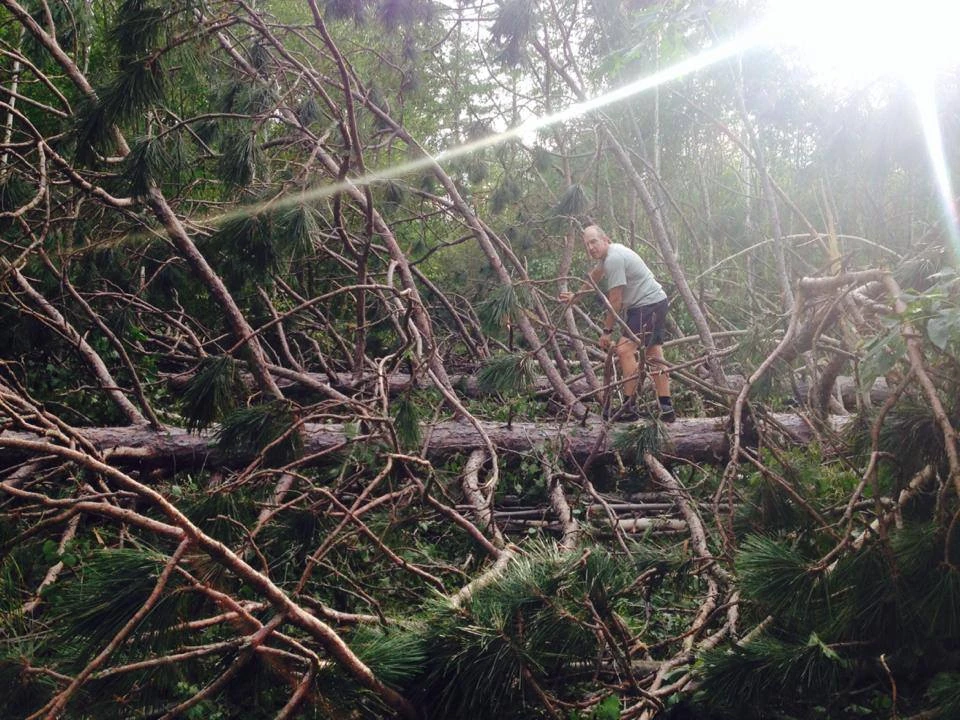 This would be pretty hard to ride around, but these guys up here are pretty excellent on tree removal.