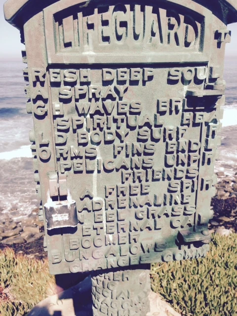 I saw this lockbox in La Jolla yesterday.