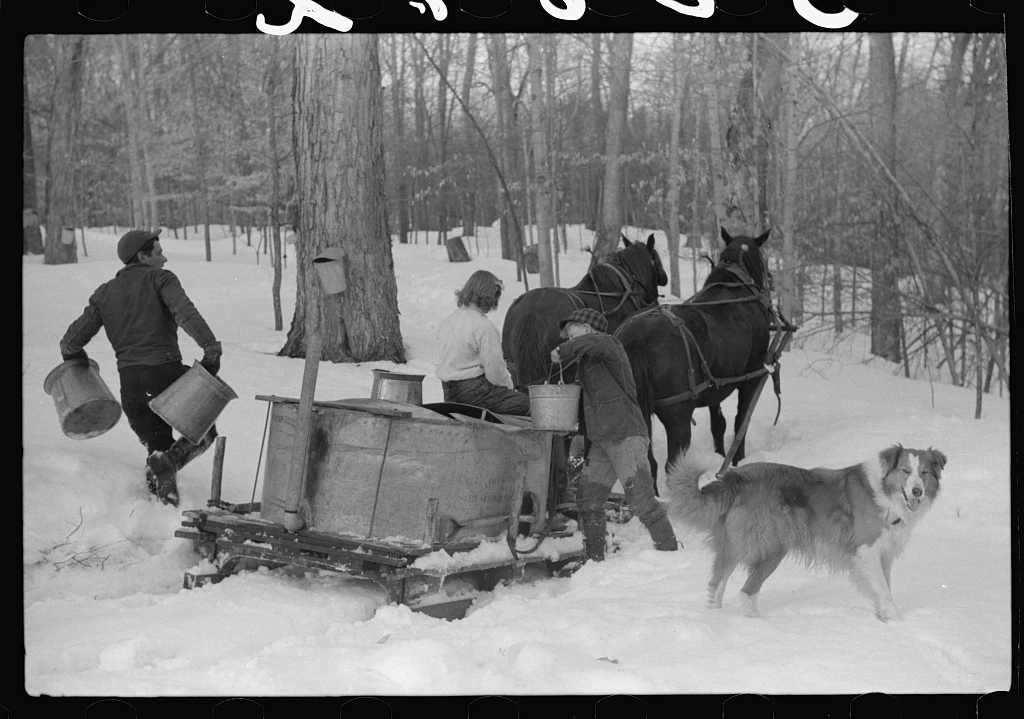 It&rsquo;s not like we&rsquo;re collecting it like this anymore and boiling it over open fires in cauldrons.