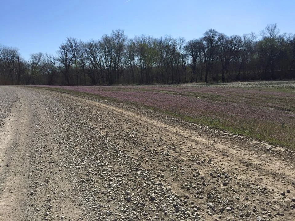 When they dump new gravel, it is thick and not good for keeping air in your tires at speed.