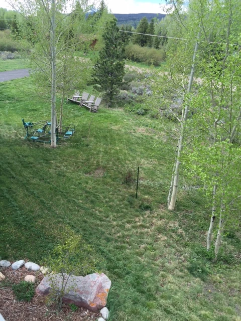 Part of the front yard I mowed. It is pretty rustic/primitive in places. The Weedeater mower ran forever on a tank of gas. I couldn&rsquo;t believe it.