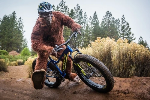 Thorfinn has moved onto Strava KOM&rsquo;s on fatbike descents now. You don&rsquo;t have to stay so lean for this.