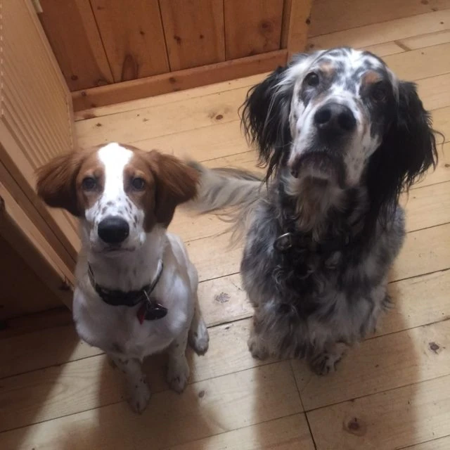 Tucker and Hawkeye acting all good.