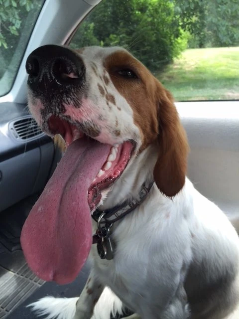 Tucker doesn&rsquo;t like the heat much yet either.