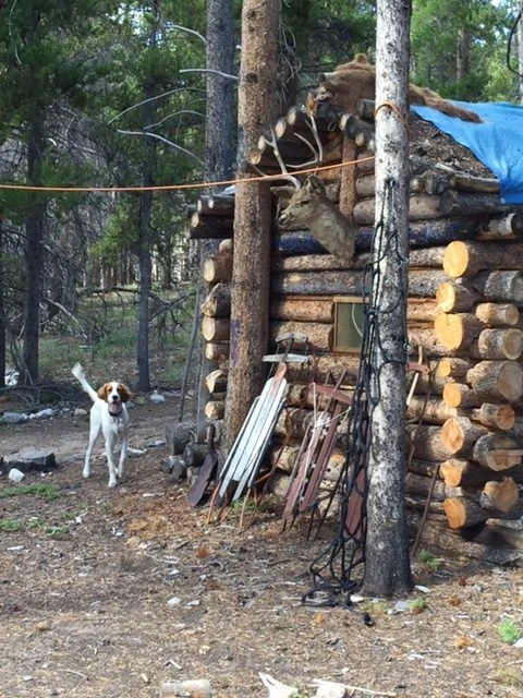 This was outside of Leadville. I was calling Tucker, who was running around here. Notice the bear head on the top of the shack. When I saw that, I started worrying that both Tucker and I were in the wrong place.
