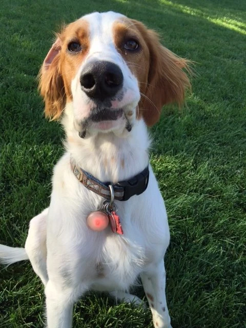 He can be goofy for sure.