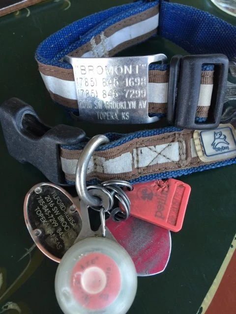 He has a lot of stuff on his collar.