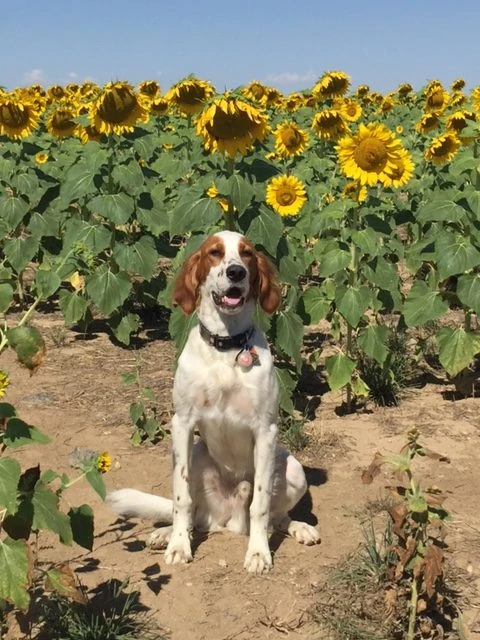 And, of course, Tucker.