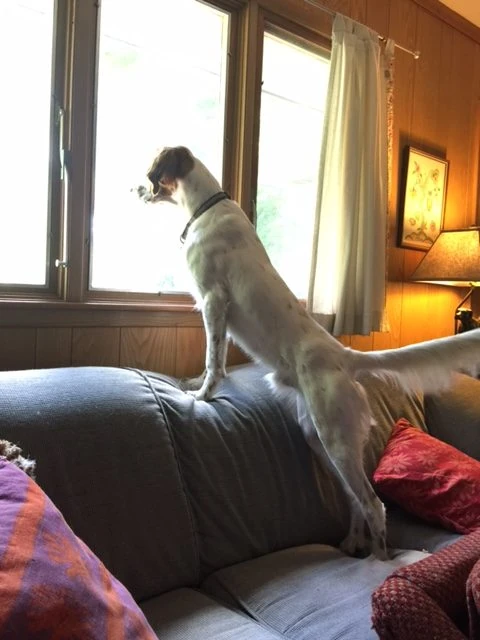 Tucker feels much better today.