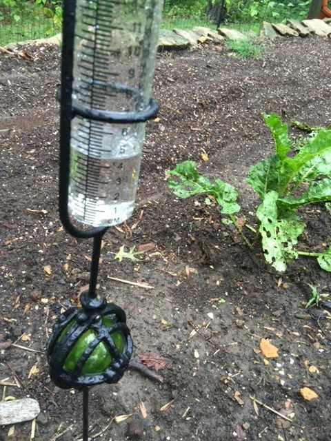 Rain gauge from last night.